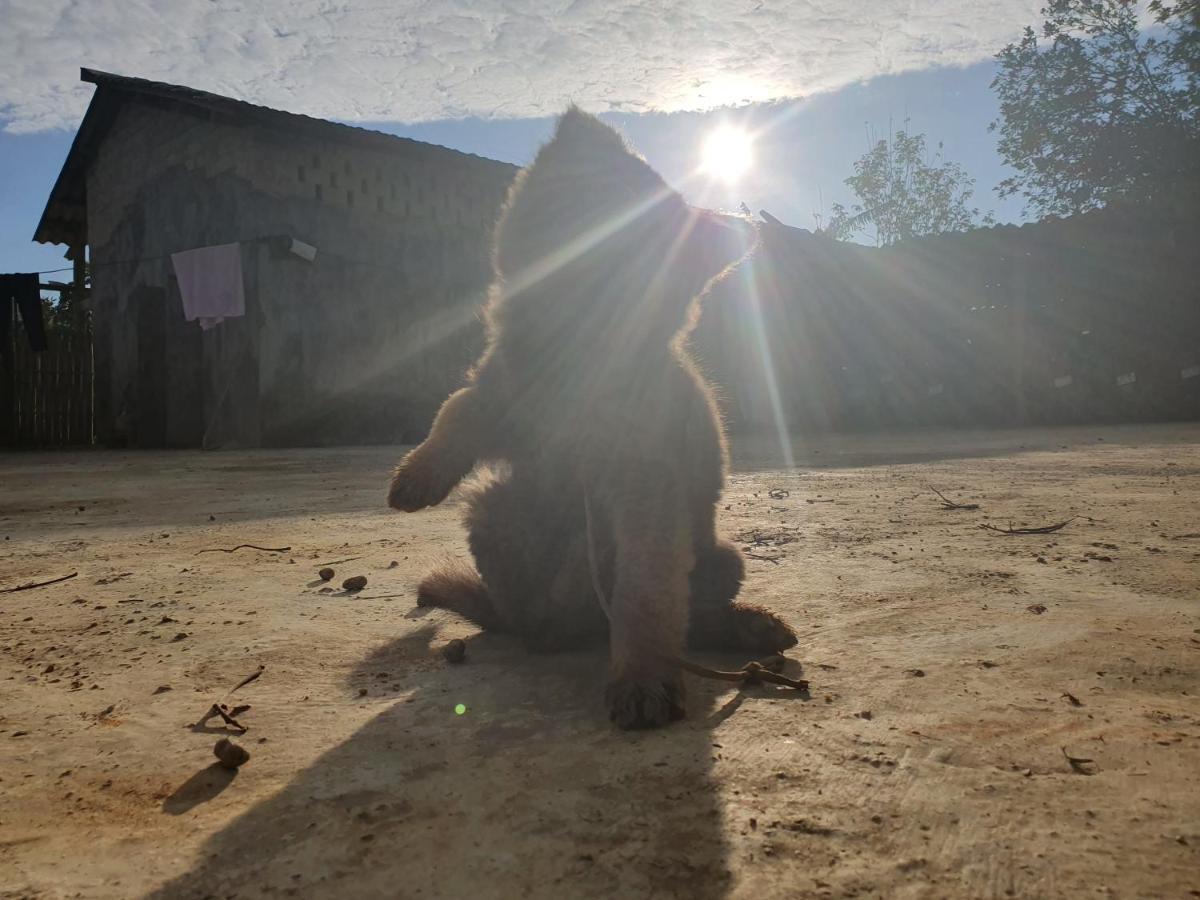 Toong Homestay Ha Giang Kültér fotó